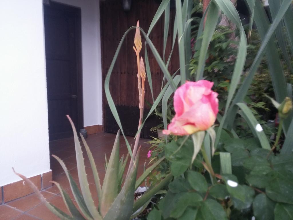 Balcon Del Velillos-"Rincon De Marcelo" Tozar Bagian luar foto