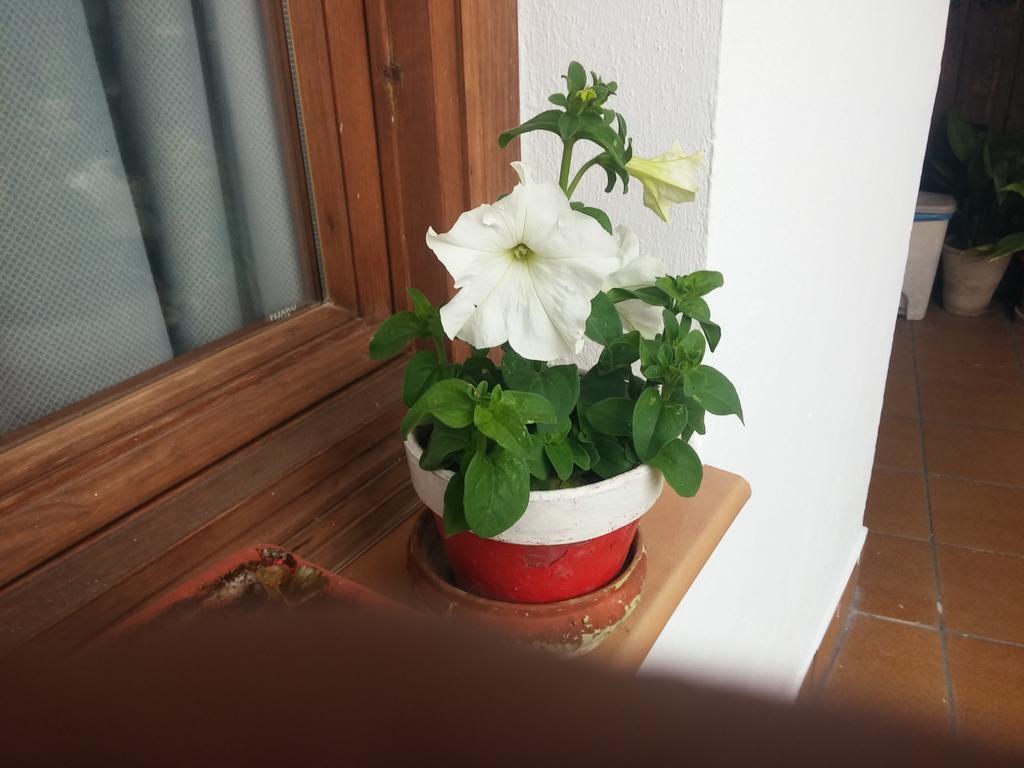 Balcon Del Velillos-"Rincon De Marcelo" Tozar Bagian luar foto