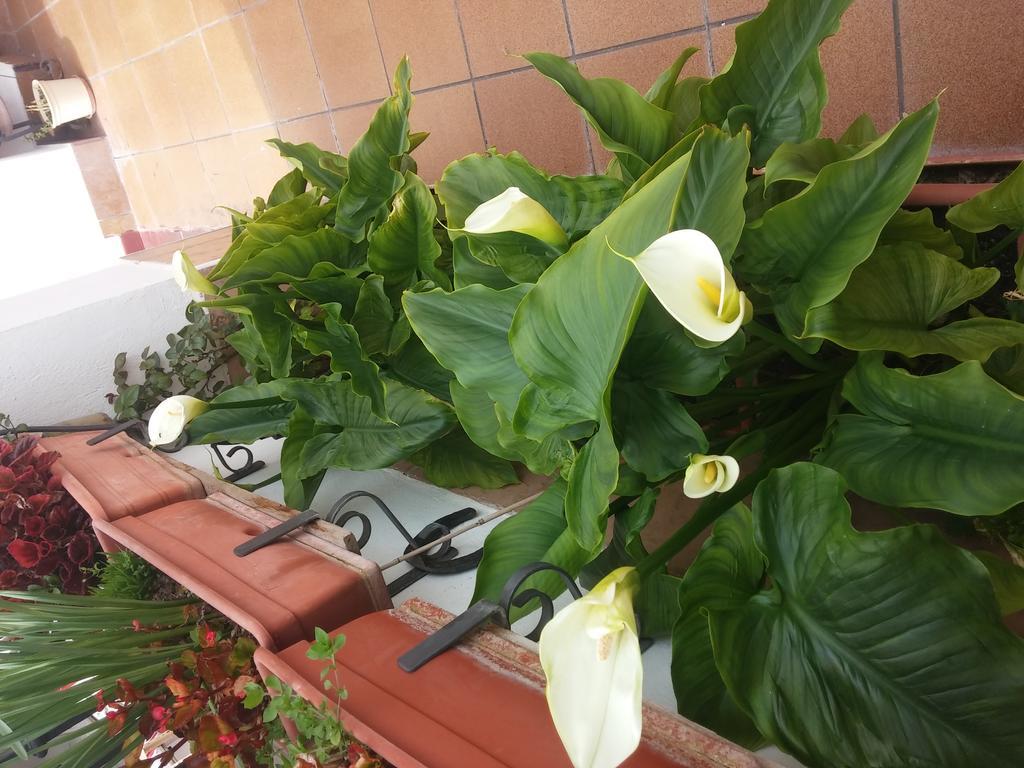 Balcon Del Velillos-"Rincon De Marcelo" Tozar Bagian luar foto